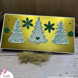 Team Challenge Be inspired 11 25 Carola