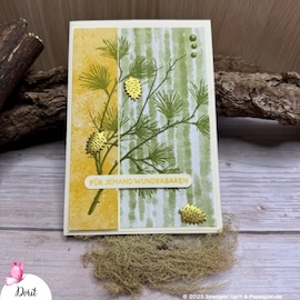 Team Challenge Be inspired 11 25 Dorit