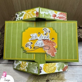 Team Challenge Be inspired 11 25 Tanja C