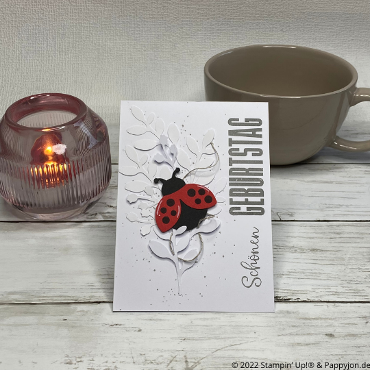 Geburtstagskarte Marienkäfer mit Stampin' Up! Produkten