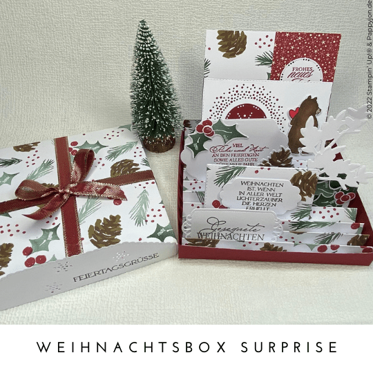 Weihnachtsbox Surprise mit Stampin' Up! Produkten