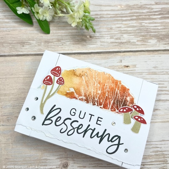 Verpackung Gute Besserung mit Stampin' Up! Produkten mit Stampin' Up! Produkten