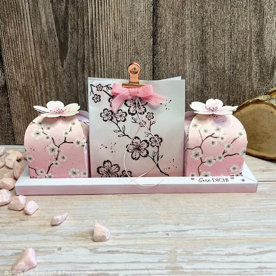Rahmen Doppelt gemoppelt mit Stampin' Up! Produkten mit Stampin' Up! Produkten