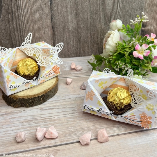 Verpackung Perfekt in Szene gesetzt mit Stampin' Up! Produkten mit Stampin' Up! Produkten