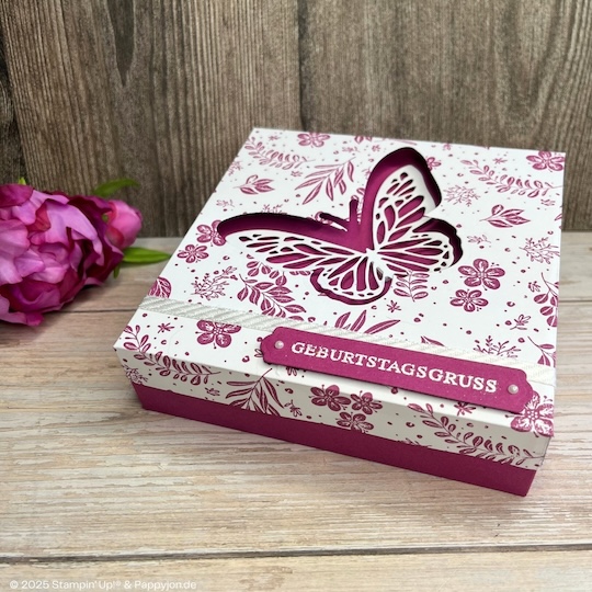 Verpackung Schmetterlingsgruss mit Stampin' Up! Produkten mit Stampin' Up! Produkten