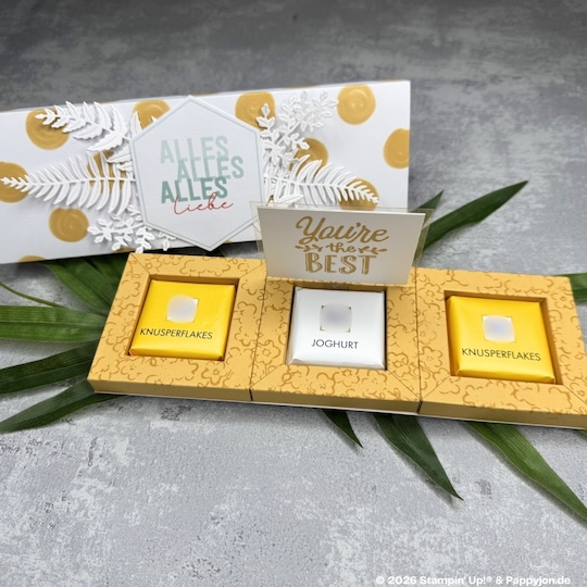 Shadow-Box Alles, alles Liebe mit Stampin' Up! Produkten