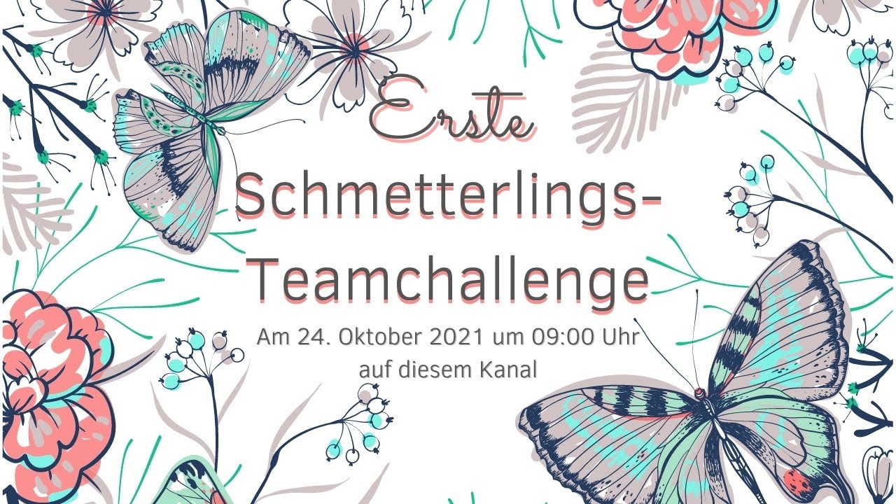 Erste Schmetterlings-Teamchallenge