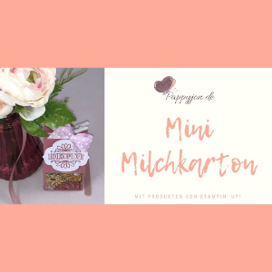 mini Milchkarton