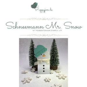 Schneemann mr snow
