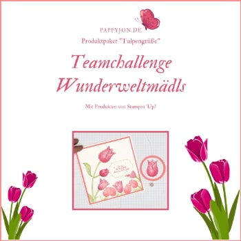 teamchallenge