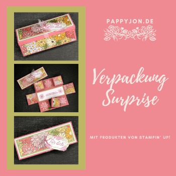 Verpackung surprise