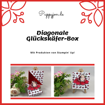 glueckskaefer box