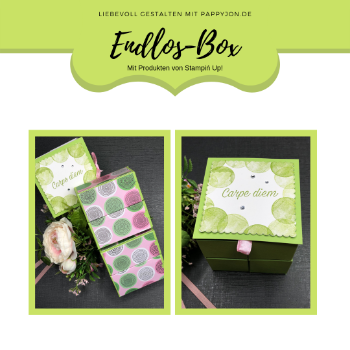 endlos box