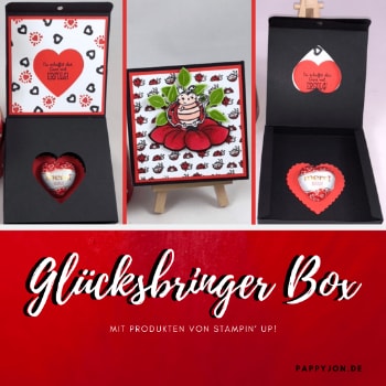 Glücksbringer box