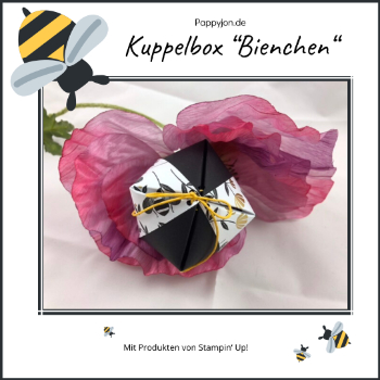 kuppelbox